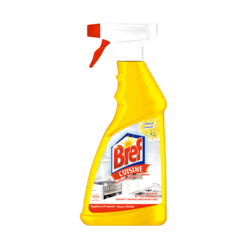 BREF PISTOLET 500ML CUISINE