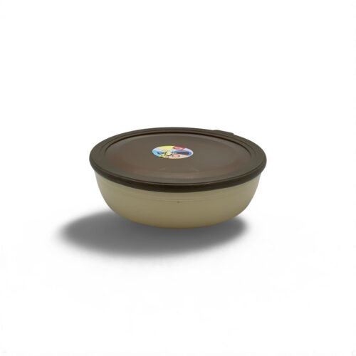 HOME LIFE DUO MINI SALADIER N 04 2.9L