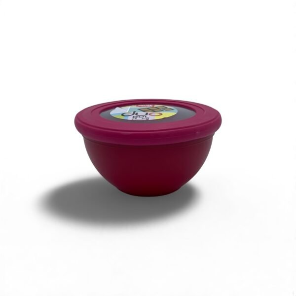 HOME LIFE DUO SALADIER N 01 550ML