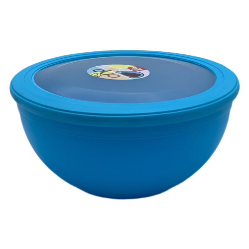 HOME LIFE DUO SALADIER N 03 2.5L