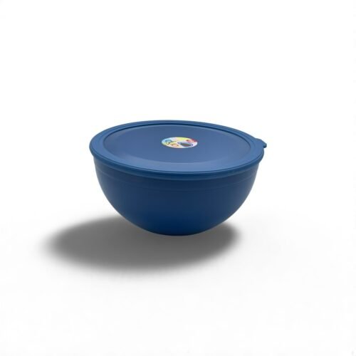 HOME LIFE DUO SALADIER N 05 6.2L