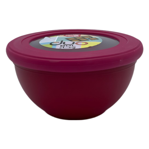 HOME LIFE DUO SALADIER N 01 550ML