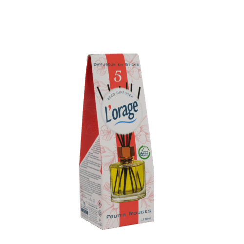 LORAGE DIFFUSEUR EN STICK 110ML FRUITS ROUGES (5)