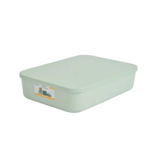 HOMEA BOITE DE RANGEMENT VERT CLAIR 35X25X8CM 839VC