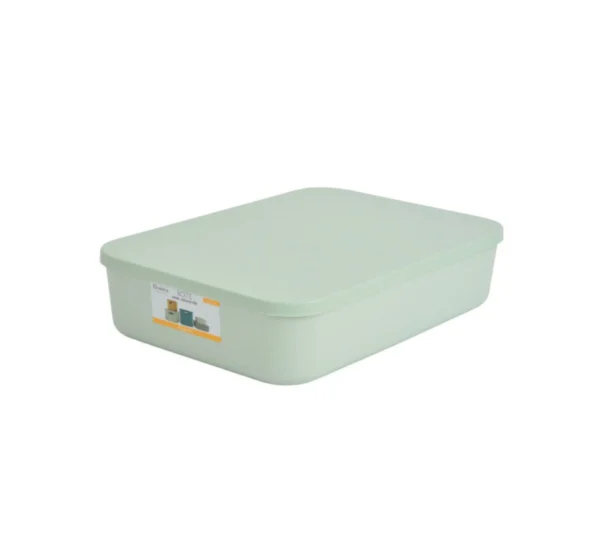 HOMEA BOITE DE RANGEMENT VERT CLAIR 35X25X8CM 839VC