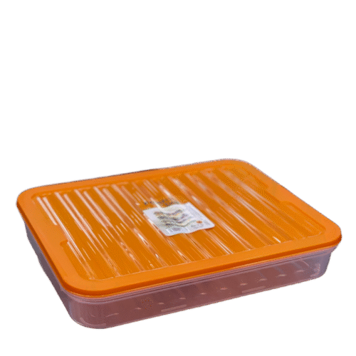 FRESH BOX BOITE A CHARCUTERIE 28.8X22.3X5CM 2.4L