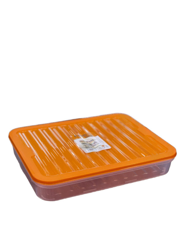 FRESH BOX BOITE A CHARCUTERIE 28.8X22.3X5CM 2.4L