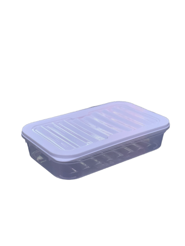 FRESH BOX BOITE A ACHARCUTERIE 22.8X14.3X5CM 1.14L