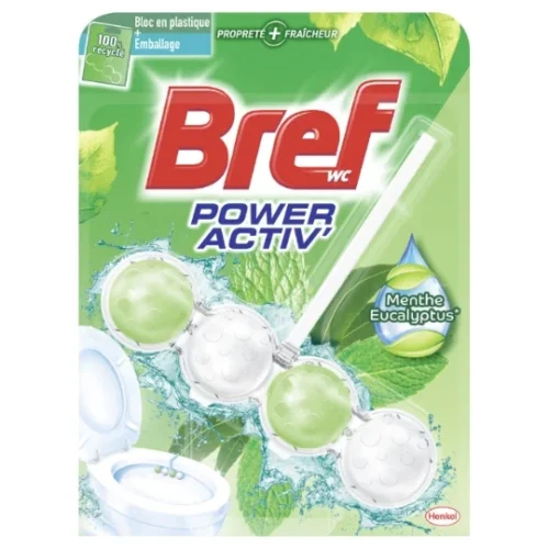 BREF BLOC WC 50GR MENTHE EUCALYPTUS