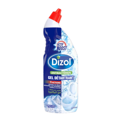 DIZOL GEL DETARTANT ANTIBACTERIEN 700ML FRAICHEUR HIMALAYA